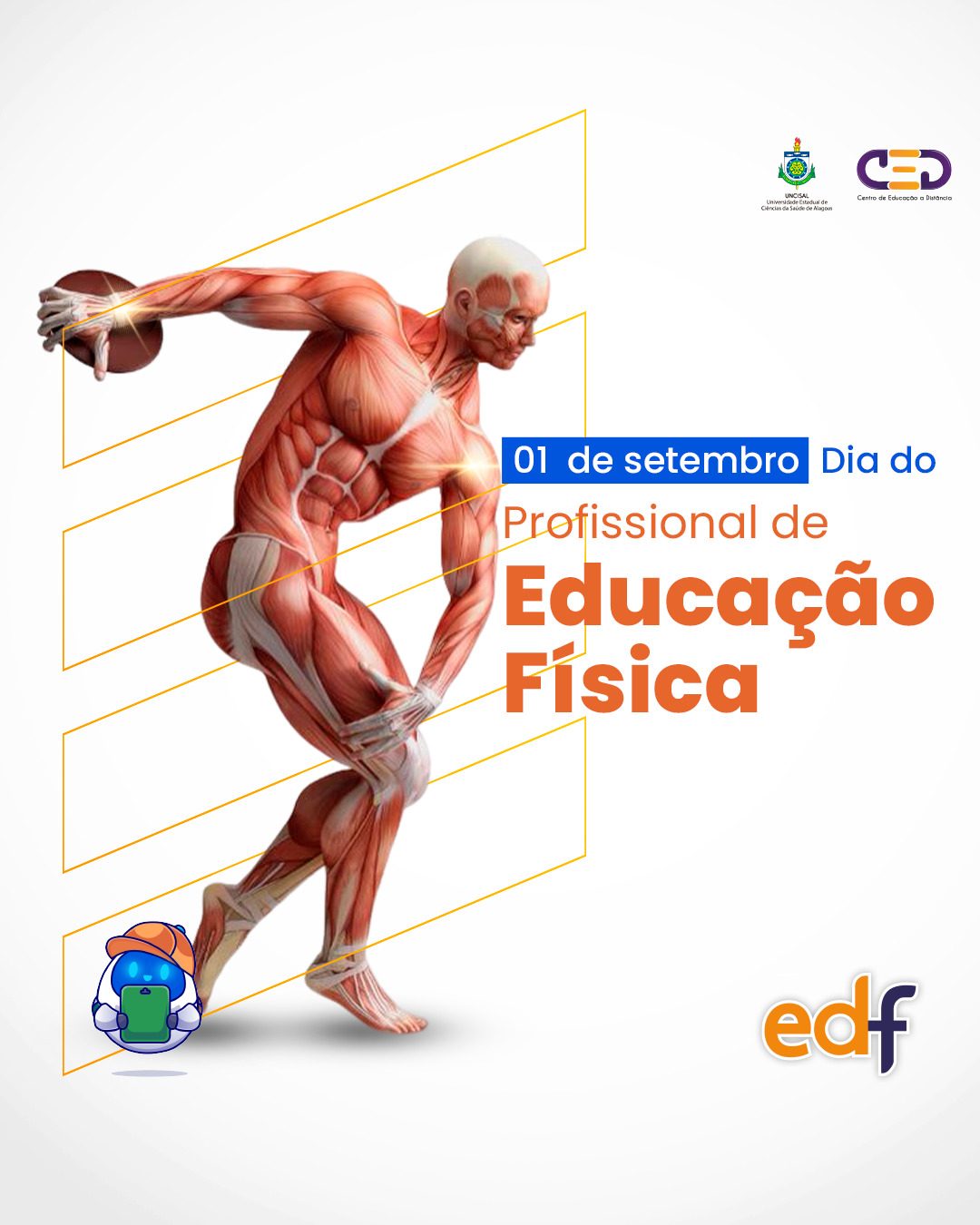 Tudo sobre o curso de Educação Física a distância