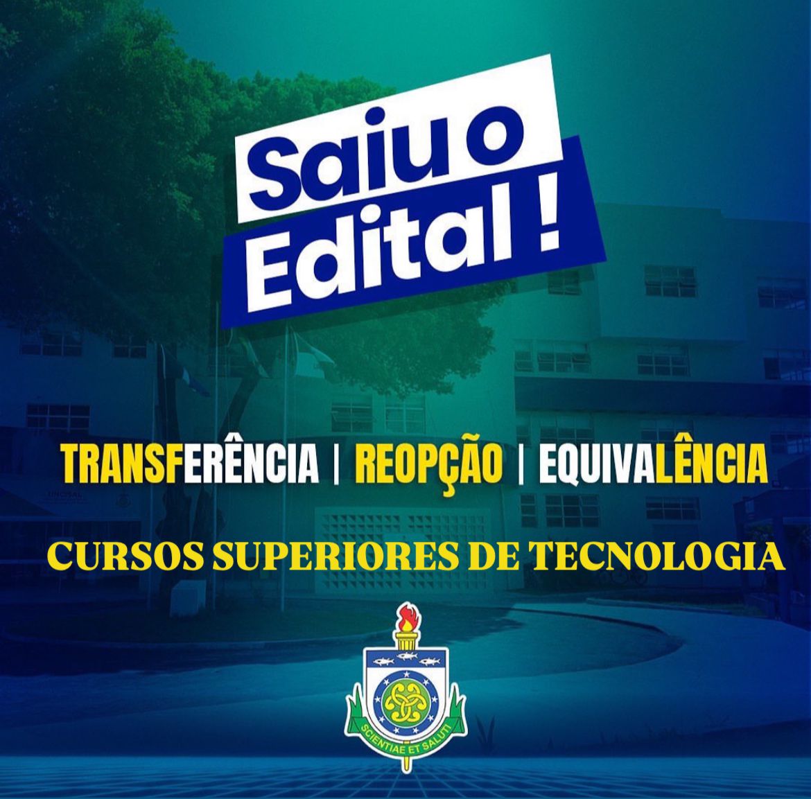 whatsapp-image-2024-07-24-at-171951